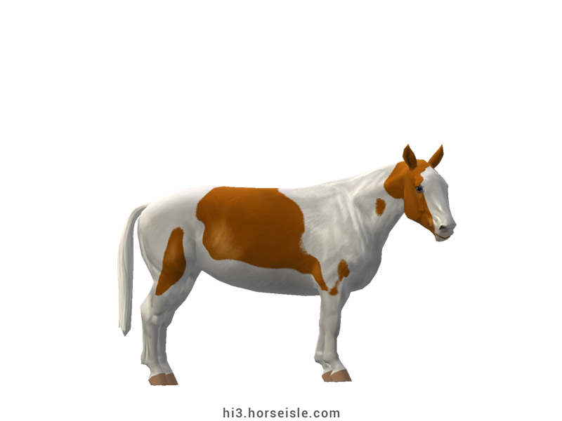Cow-pony Holstein Bright Chestnut Tovero Coat